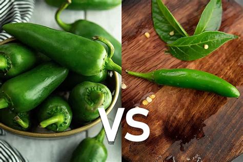 serrano or jalapeno hotter|what's hotter jalapeno or serrano.